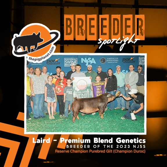 Laird - Premium Blend Genetics - The Pig Planet